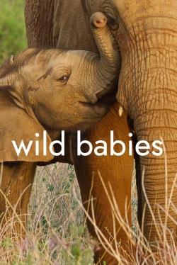 Wild Babies full