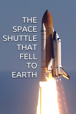 The Space Shuttle That Fell to Earth full