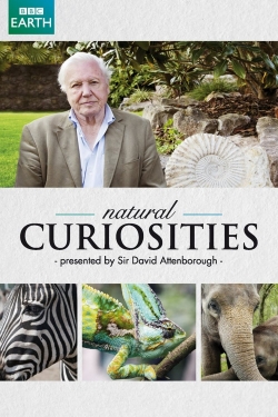 David Attenborough's Natural Curiosities full