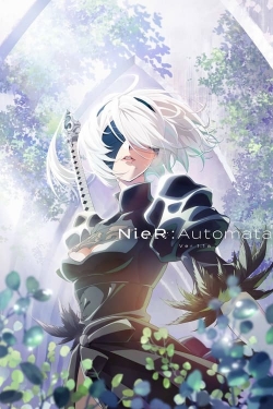 NieR:Automata Ver1.1a full