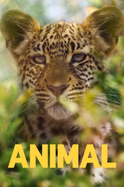 Animal full