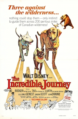 The Incredible Journey full