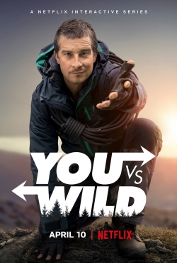 You vs. Wild full