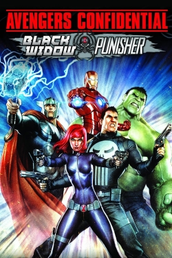 Avengers Confidential: Black Widow & Punisher full