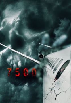 Flight 7500 full