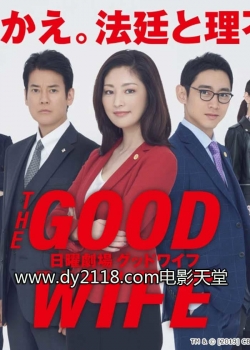 The Good Wife full