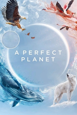 A Perfect Planet full