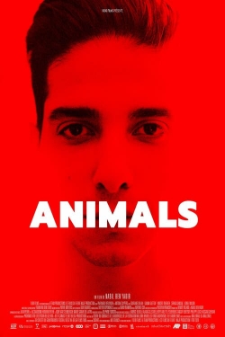 Animals full