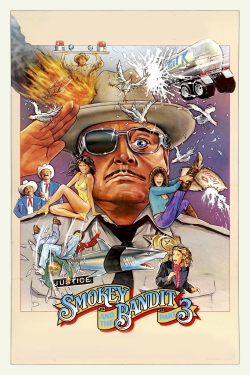 Smokey and the Bandit Part 3 full