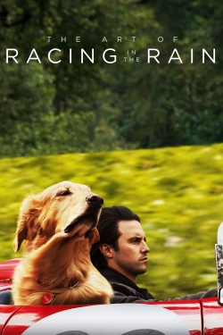 The Art of Racing in the Rain full