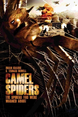 Camel Spiders full