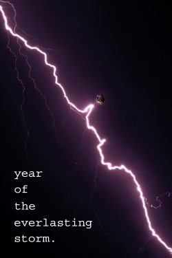 The Year of the Everlasting Storm full