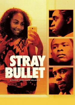 Stray Bullet full