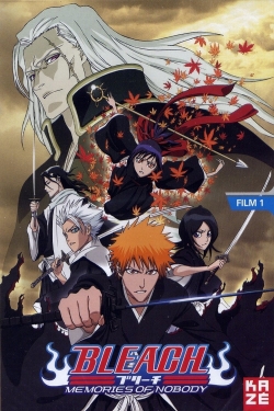 Bleach: Memories of Nobody full