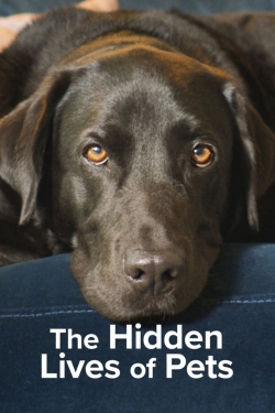 The Hidden Lives of Pets full