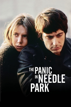 The Panic in Needle Park full