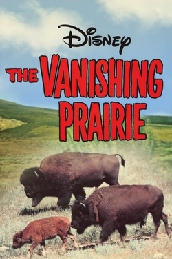 The Vanishing Prairie full