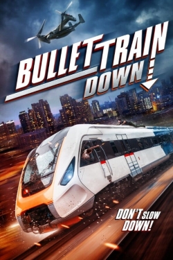 Bullet Train Down full