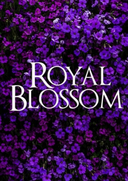 Royal Blossom full