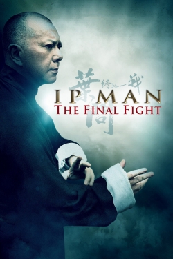 Ip Man: The Final Fight full