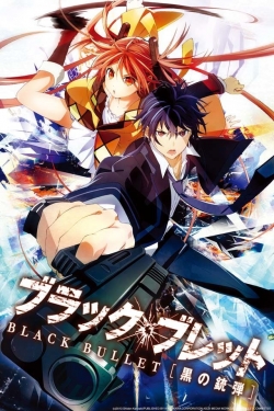 Black Bullet full