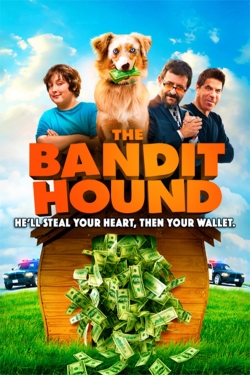 The Bandit Hound full