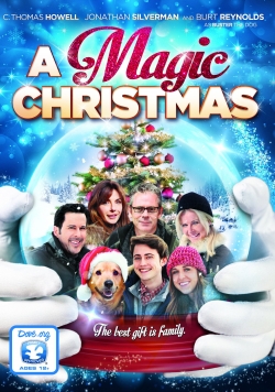 A Magic Christmas full