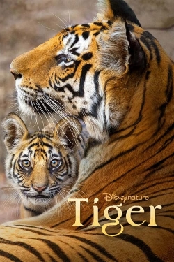 Tiger full