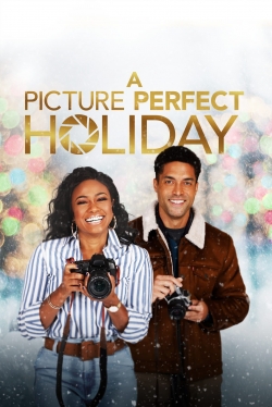 A Picture Perfect Holiday full