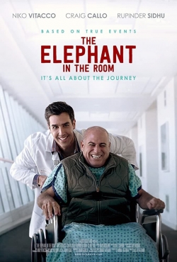 The Elephant In The Room full