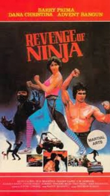 Revenge of the Ninja full