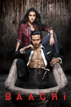 Baaghi full