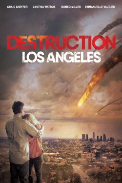 Destruction: Los Angeles full