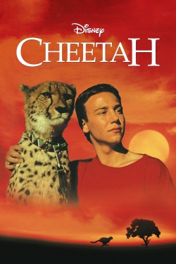 Cheetah full