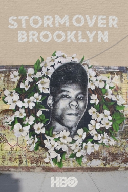 Yusuf Hawkins: Storm Over Brooklyn full