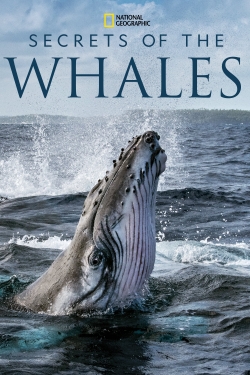 Secrets of the Whales full