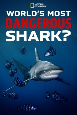 World's Most Dangerous Shark? full