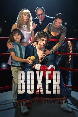 Boxer full