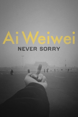 Ai Weiwei: Never Sorry full