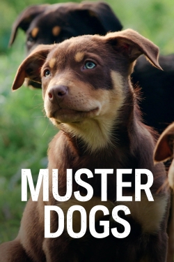 Muster Dogs full