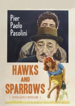 Hawks and Sparrows full