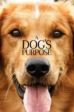 A Dog's Purpose full