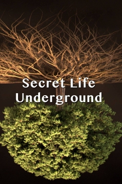 Secret Life Underground full