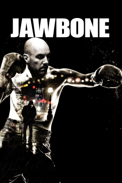 Jawbone full