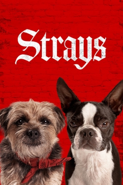 Strays full