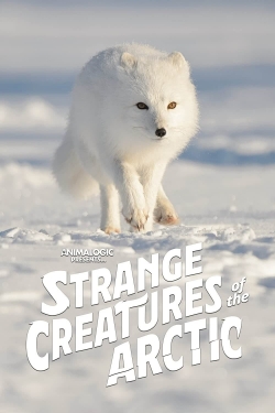 Strange Creatures of the Arctic full