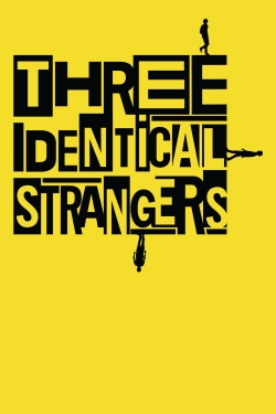 Three Identical Strangers full