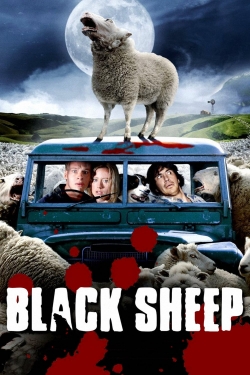 Black Sheep full