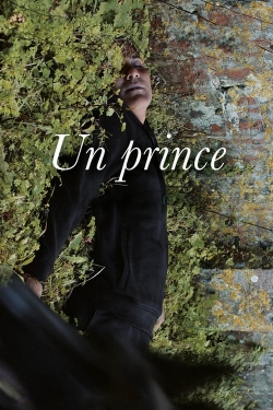 A Prince full