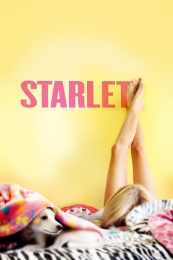 Starlet full